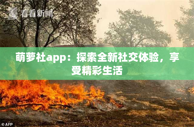 萌萝社app：探索全新社交体验，享受精彩生活