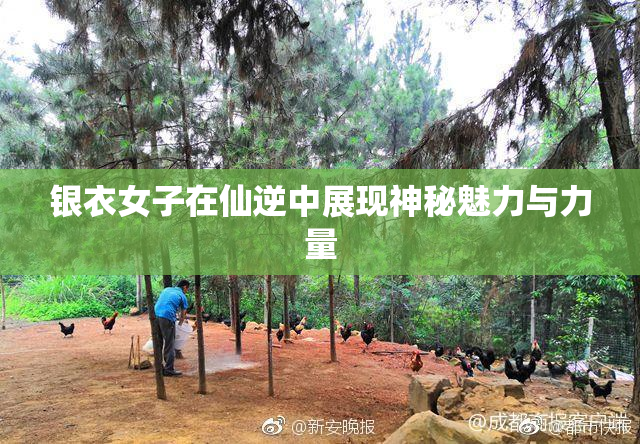 银衣女子在仙逆中展现神秘魅力与力量