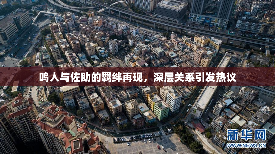 鸣人与佐助的羁绊再现，深层关系引发热议