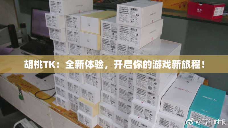 胡桃TK：全新体验，开启你的游戏新旅程！