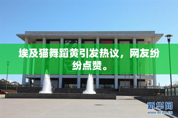 埃及猫舞蹈黄引发热议，网友纷纷点赞。