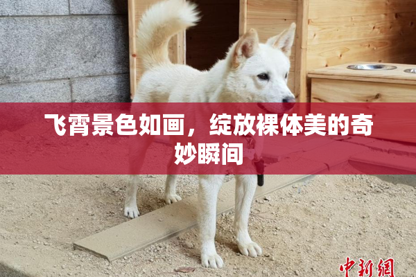 飞霄景色如画，绽放裸体美的奇妙瞬间