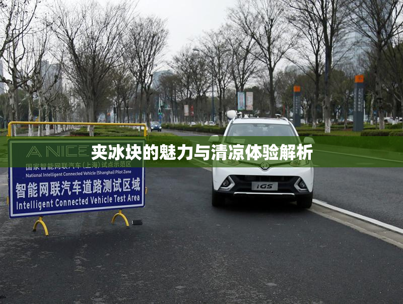 夹冰块的魅力与清凉体验解析