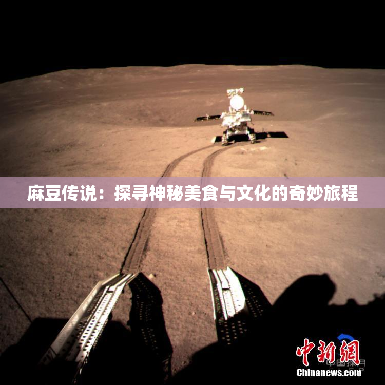 麻豆传说：探寻神秘美食与文化的奇妙旅程