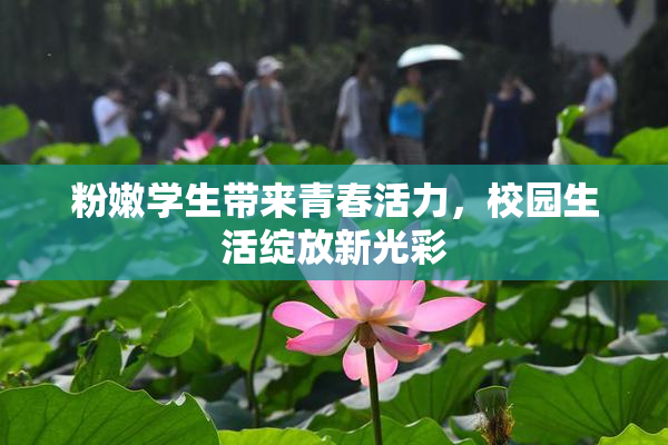 粉嫩学生带来青春活力，校园生活绽放新光彩