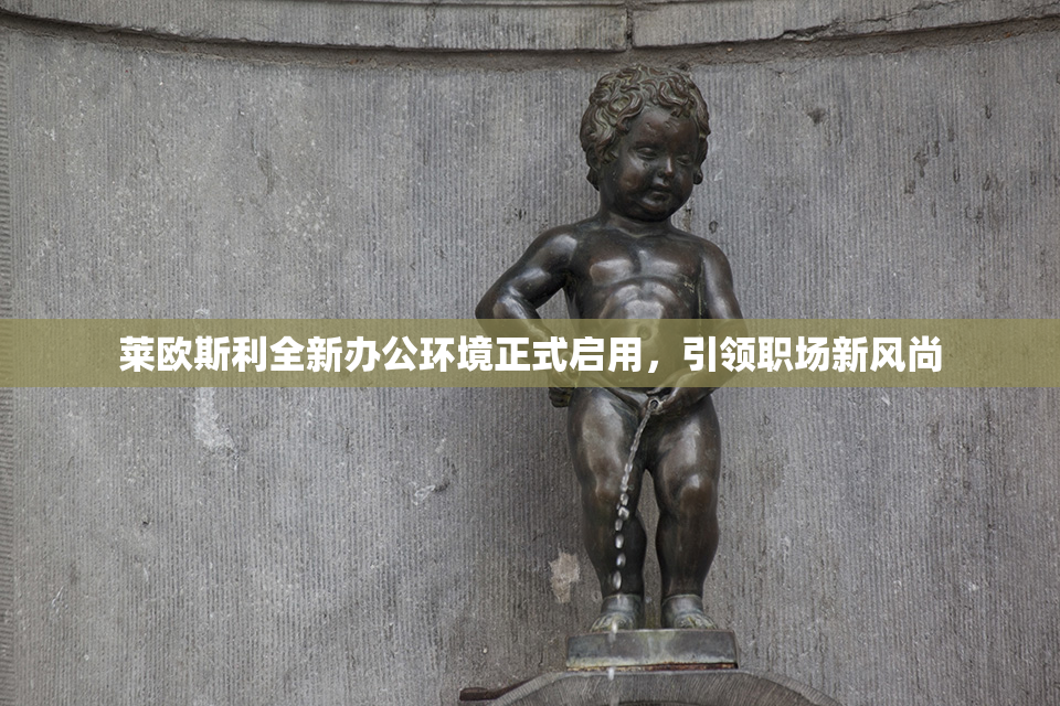 莱欧斯利全新办公环境正式启用，引领职场新风尚
