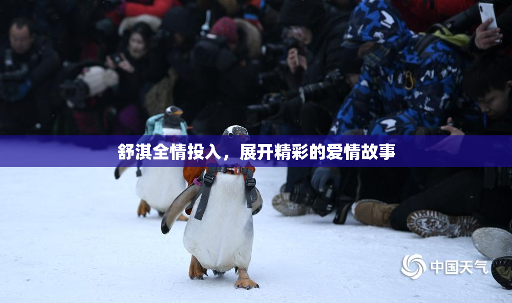 舒淇全情投入，展开精彩的爱情故事