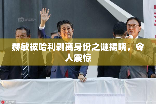 赫敏被哈利剥离身份之谜揭晓，令人震惊