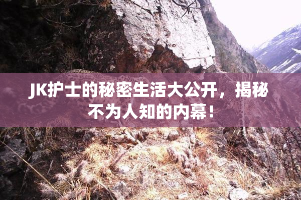 JK护士的秘密生活大公开，揭秘不为人知的内幕！