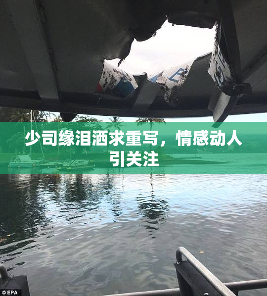 少司缘泪洒求重写，情感动人引关注