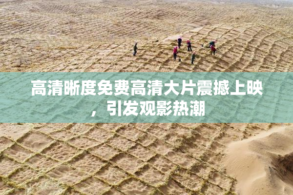 高清晰度免费高清大片震撼上映，引发观影热潮