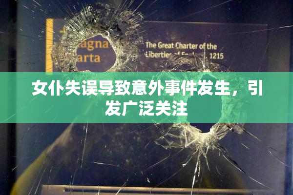 女仆失误导致意外事件发生，引发广泛关注