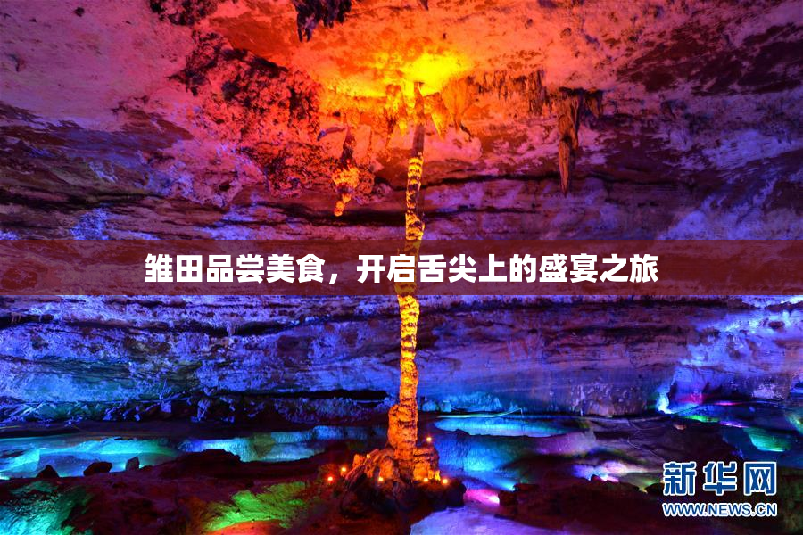 雏田品尝美食，开启舌尖上的盛宴之旅