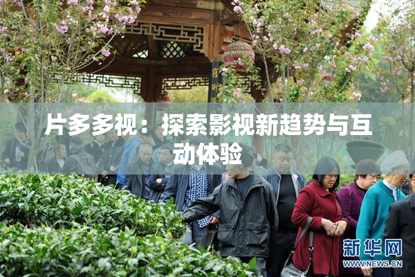 片多多视：探索影视新趋势与互动体验