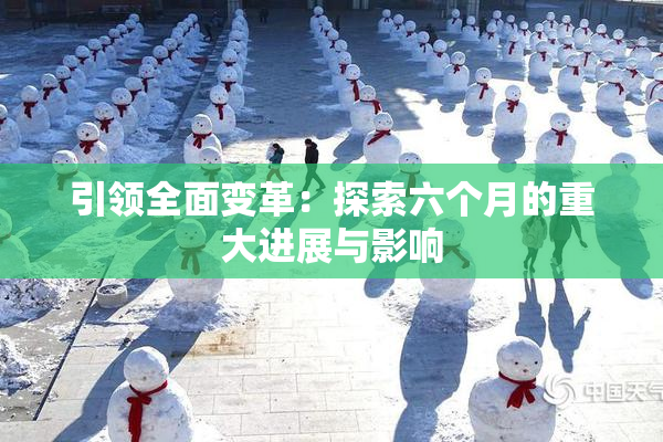 引领全面变革：探索六个月的重大进展与影响