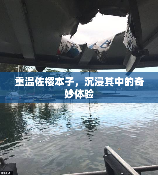 重温佐樱本子，沉浸其中的奇妙体验