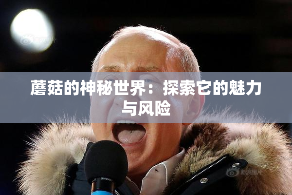 蘑菇的神秘世界：探索它的魅力与风险