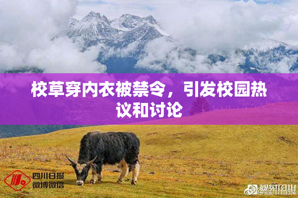 校草穿内衣被禁令，引发校园热议和讨论