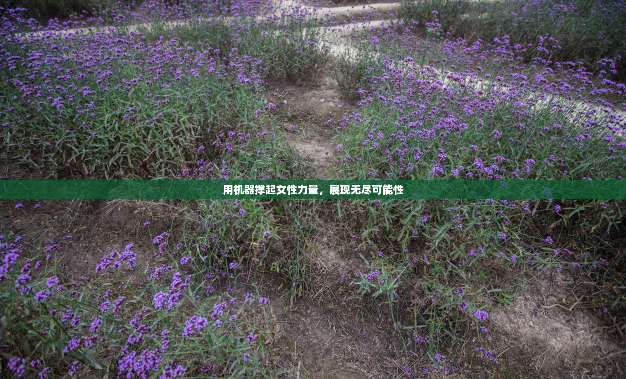 用机器撑起女性力量，展现无尽可能性