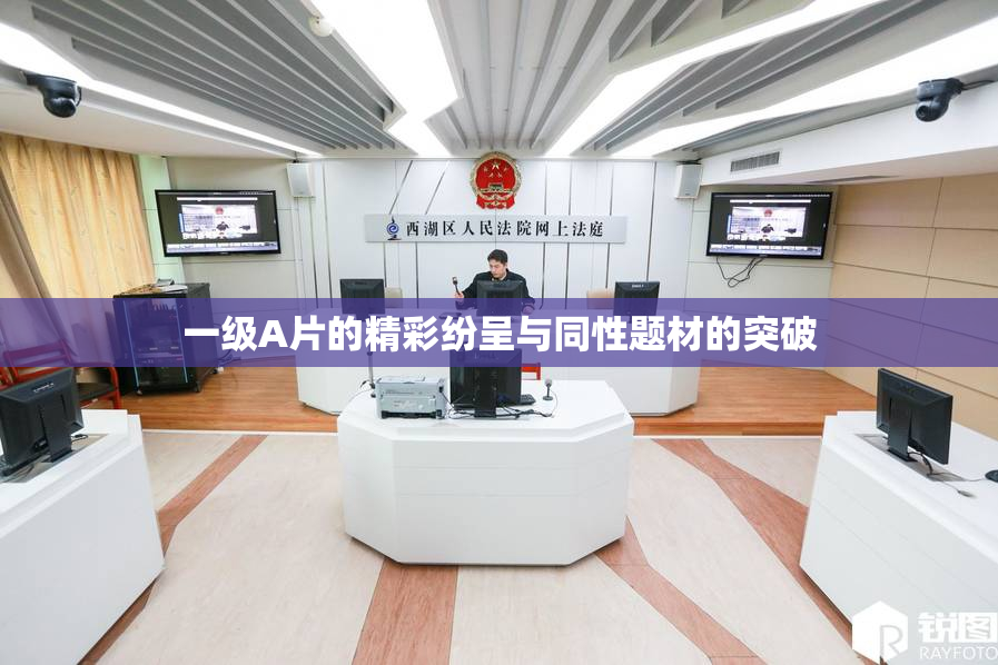 一级A片的精彩纷呈与同性题材的突破