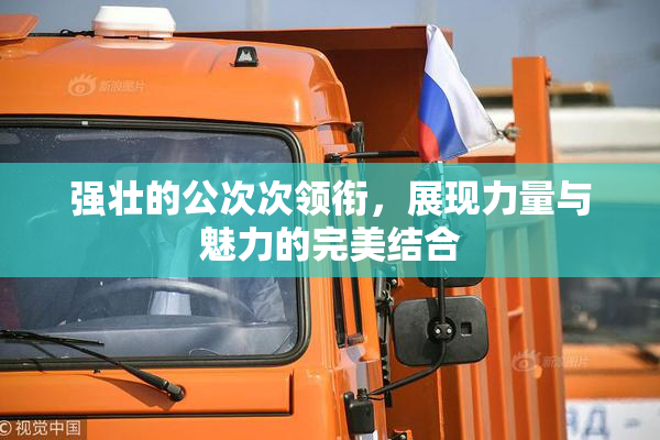 强壮的公次次领衔，展现力量与魅力的完美结合