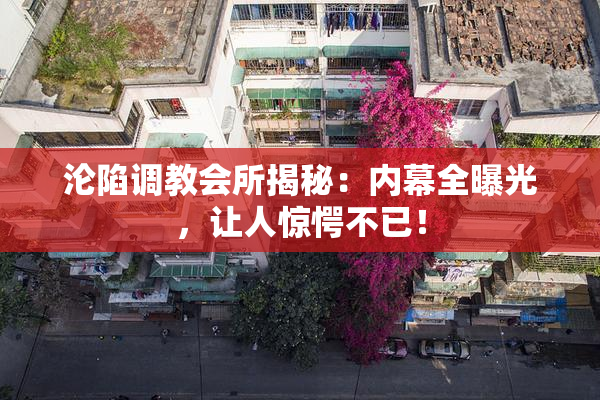 沦陷调教会所揭秘：内幕全曝光，让人惊愕不已！
