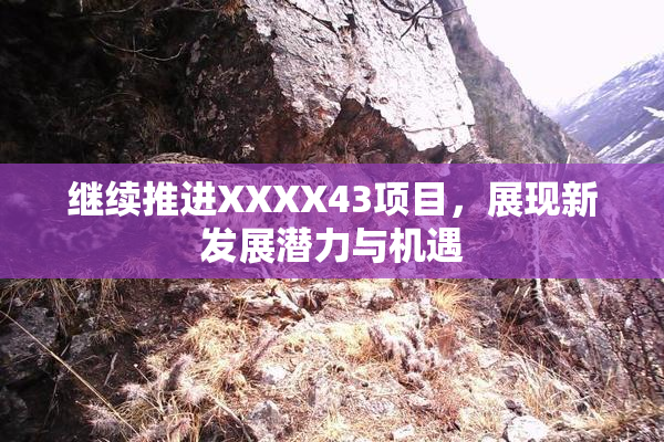 继续推进XXXX43项目，展现新发展潜力与机遇