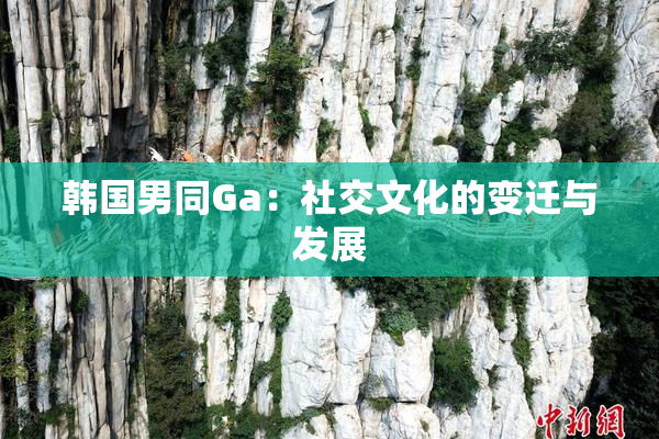 韩国男同Ga：社交文化的变迁与发展