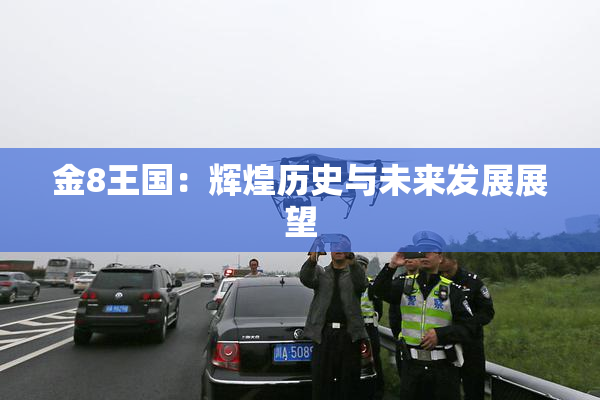金8王国：辉煌历史与未来发展展望
