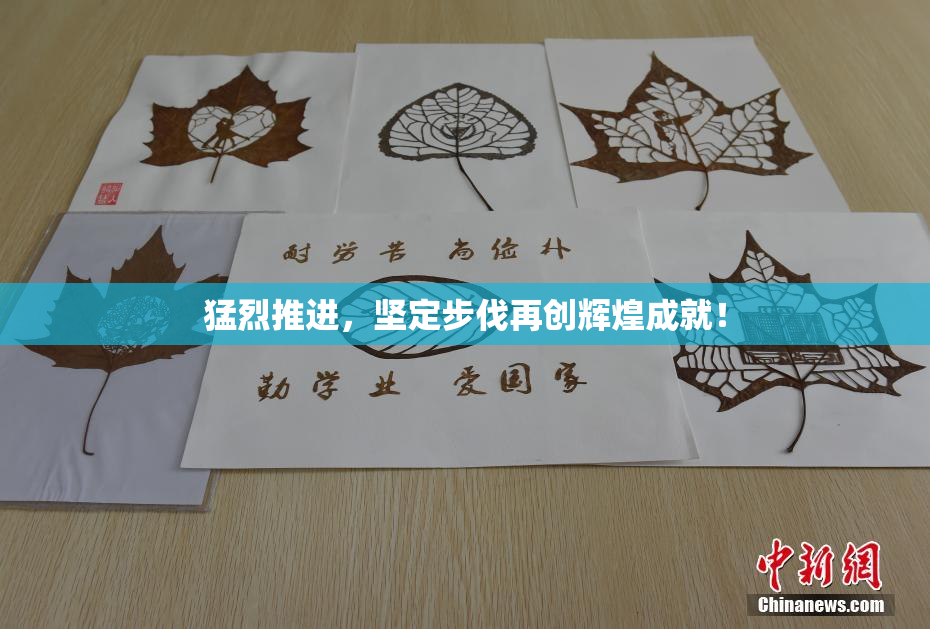 猛烈推进，坚定步伐再创辉煌成就！