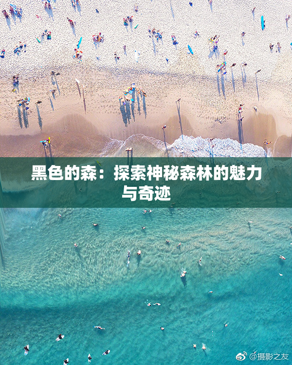 黑色的森：探索神秘森林的魅力与奇迹