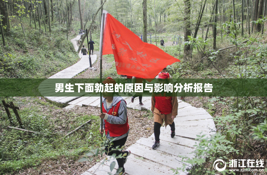 男生下面勃起的原因与影响分析报告