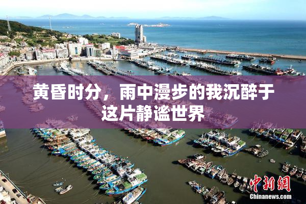 黄昏时分，雨中漫步的我沉醉于这片静谧世界