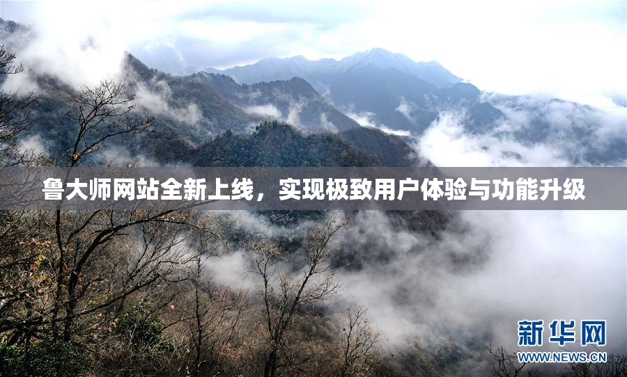 鲁大师网站全新上线，实现极致用户体验与功能升级