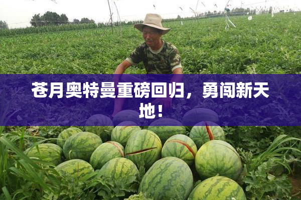 苍月奥特曼重磅回归，勇闯新天地！
