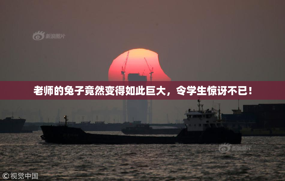 老师的兔子竟然变得如此巨大，令学生惊讶不已！