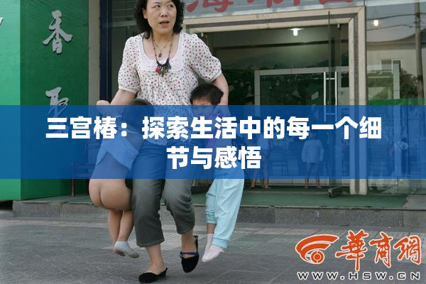 三宫椿：探索生活中的每一个细节与感悟