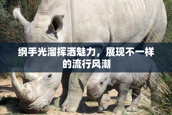 纲手光溜挥洒魅力，展现不一样的流行风潮