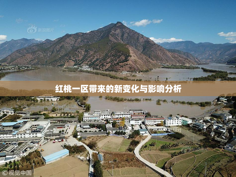 红桃一区带来的新变化与影响分析