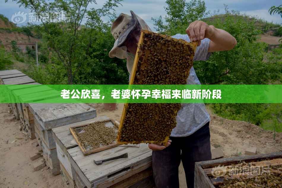 老公欣喜，老婆怀孕幸福来临新阶段