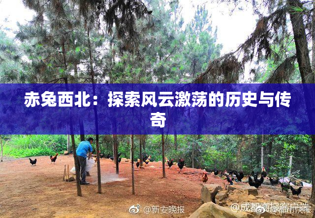 赤兔西北：探索风云激荡的历史与传奇