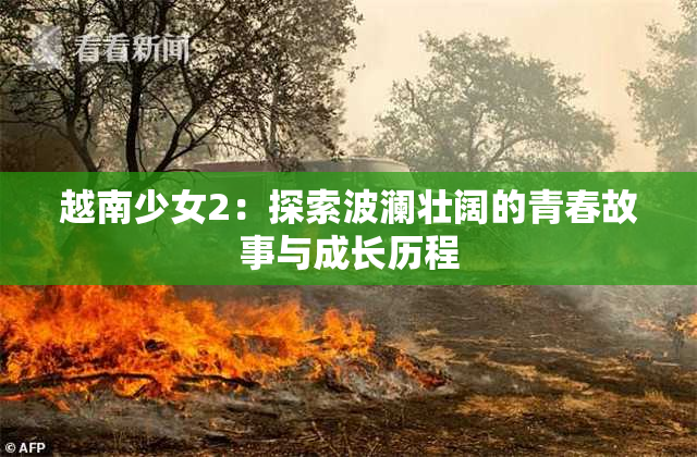 越南少女2：探索波澜壮阔的青春故事与成长历程