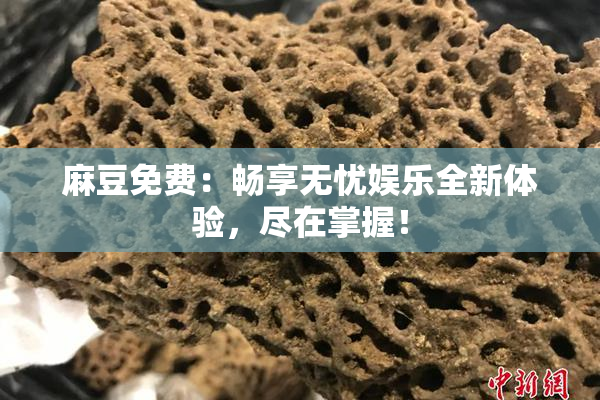 麻豆免费：畅享无忧娱乐全新体验，尽在掌握！