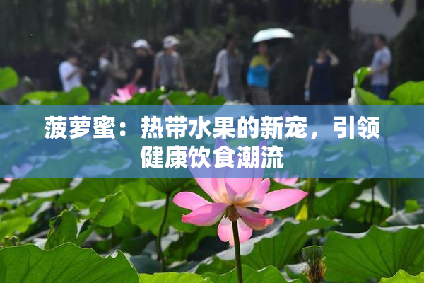 菠萝蜜：热带水果的新宠，引领健康饮食潮流