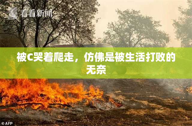 被C哭着爬走，仿佛是被生活打败的无奈