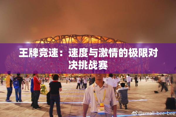 王牌竞速：速度与激情的极限对决挑战赛