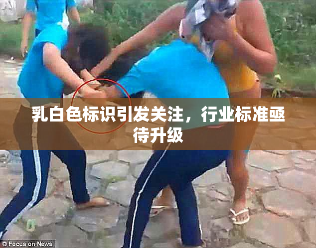 乳白色标识引发关注，行业标准亟待升级