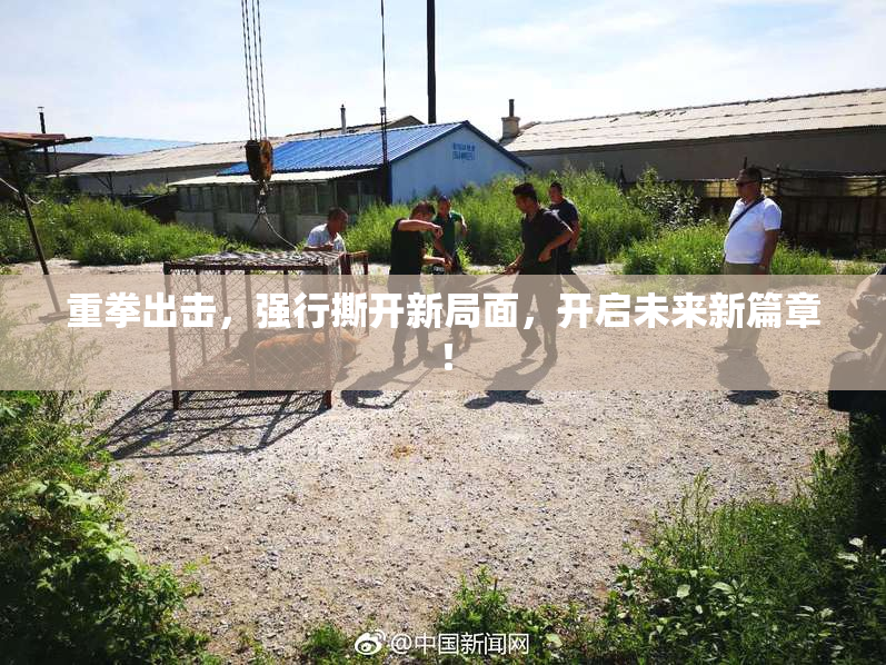 重拳出击，强行撕开新局面，开启未来新篇章！
