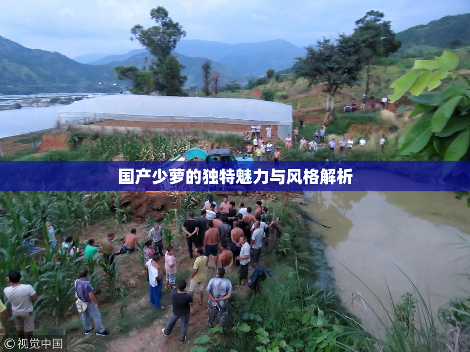 国产少萝的独特魅力与风格解析
