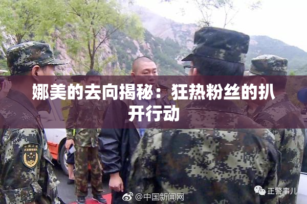 娜美的去向揭秘：狂热粉丝的扒开行动